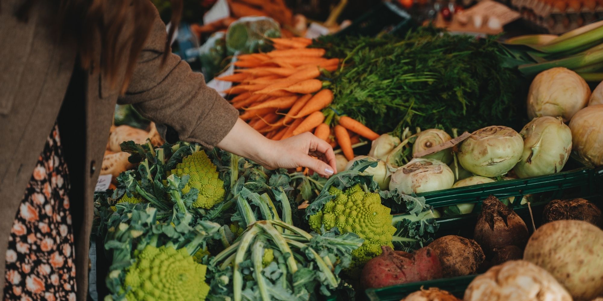 Carcassonne marchés (5)