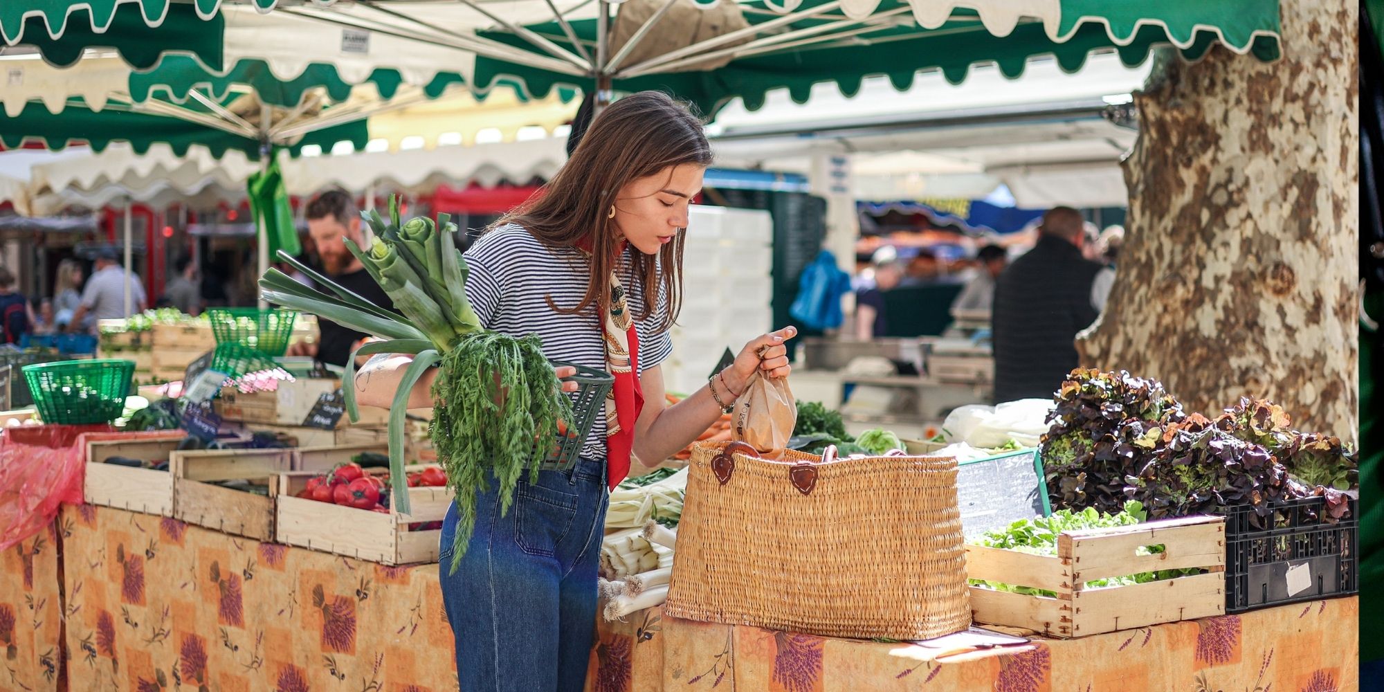 Carcassonne marchés