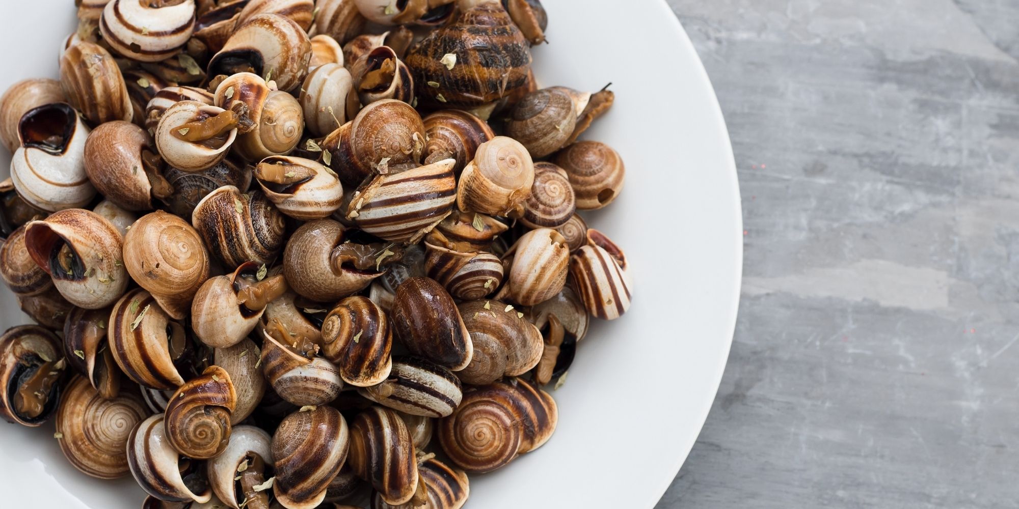 Les escargots à la Languedocienne (1)