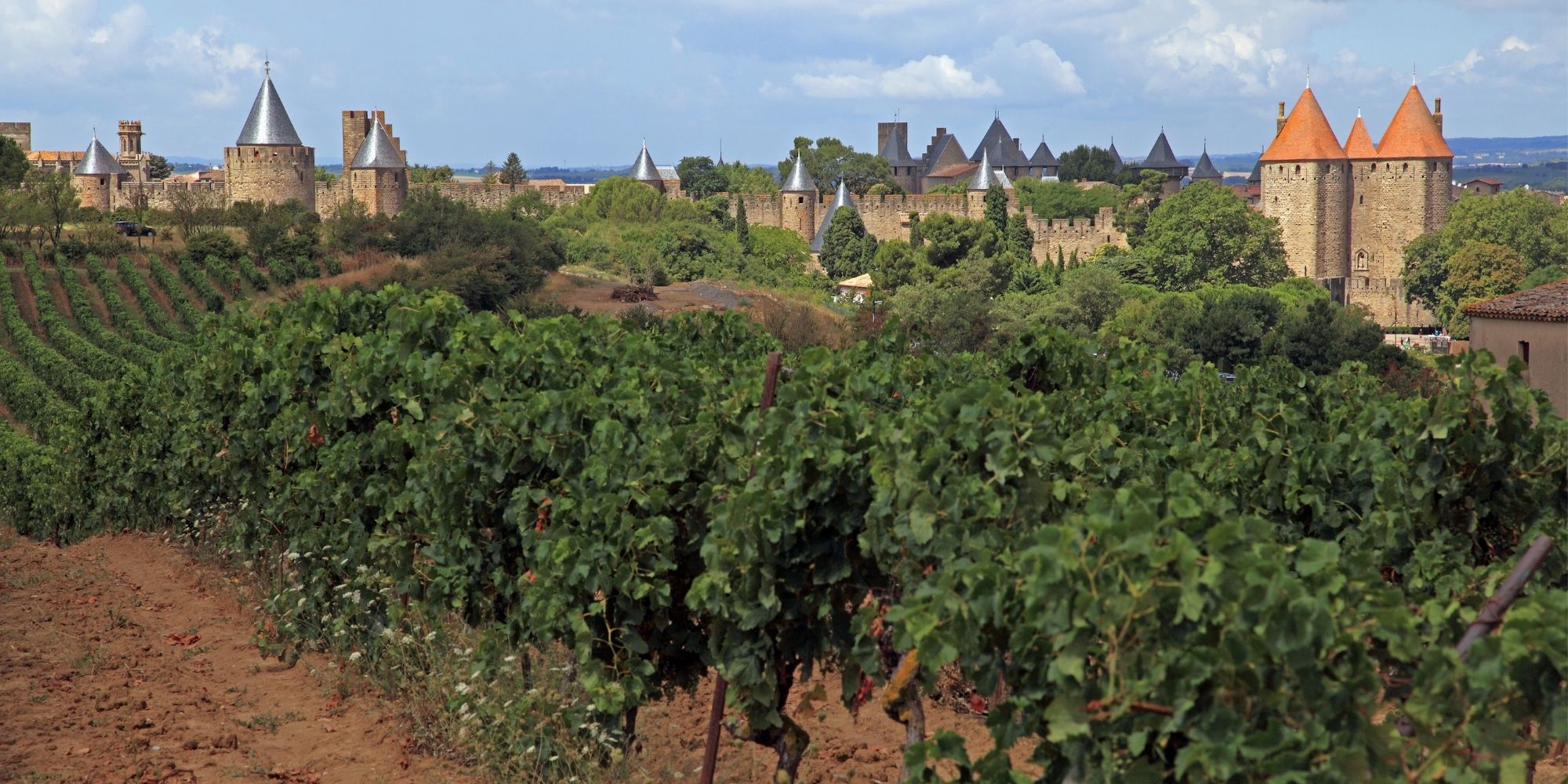 Les vins de Carcassonne IGP