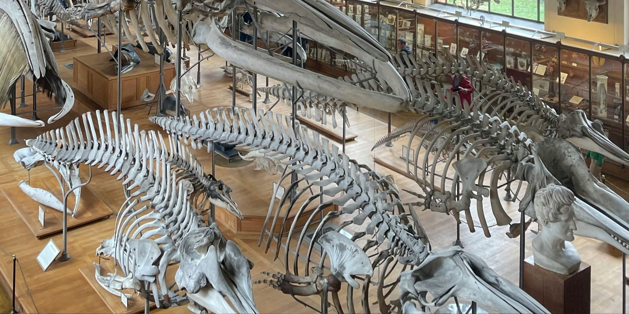 _Natural History Museum