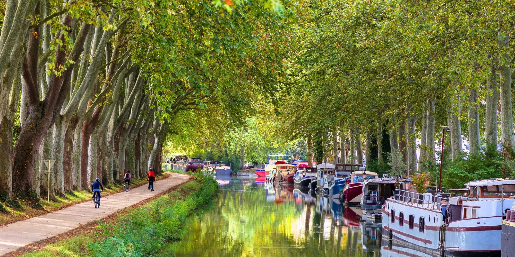 canal du midi (11)