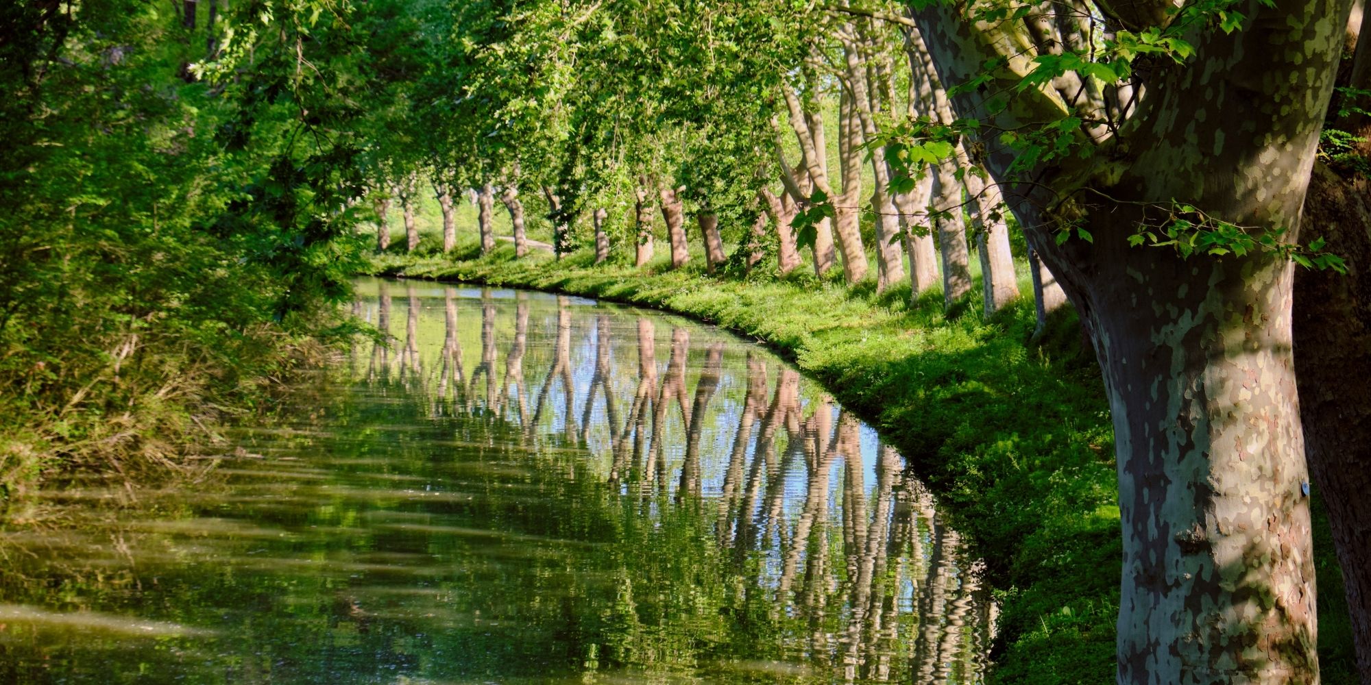 canal du midi (9)