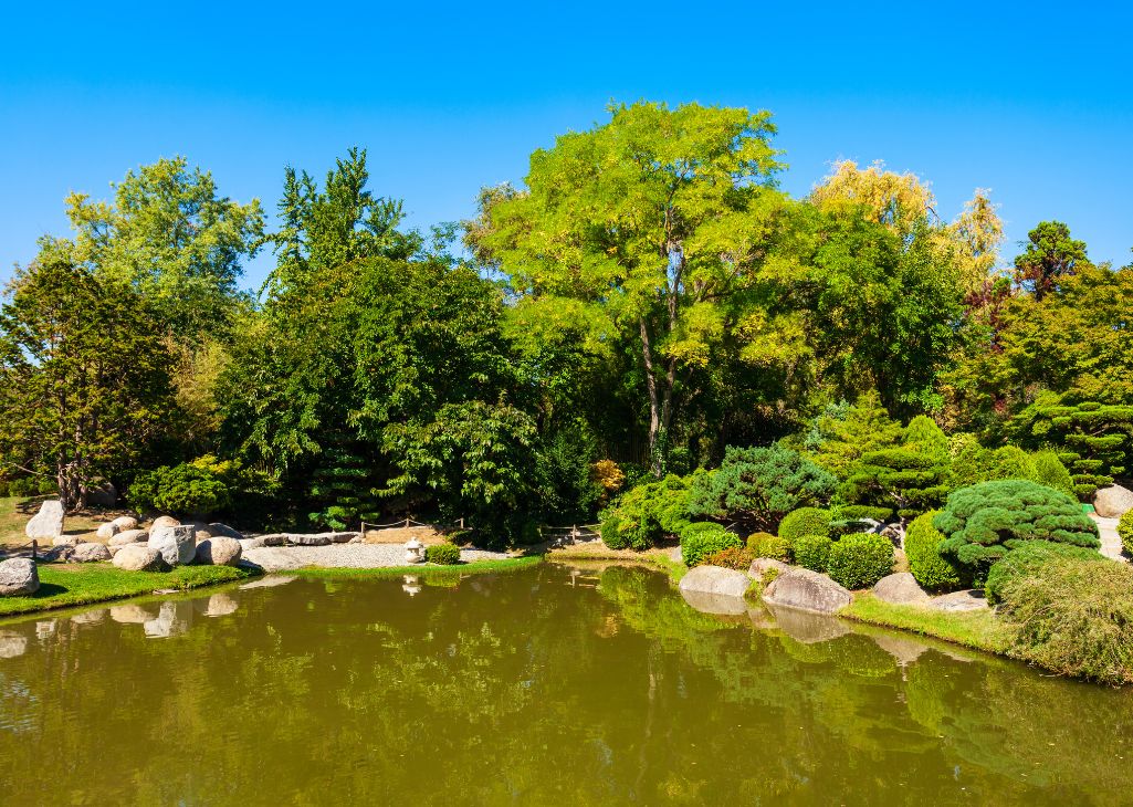 _ jardin des Plantes Toulouse