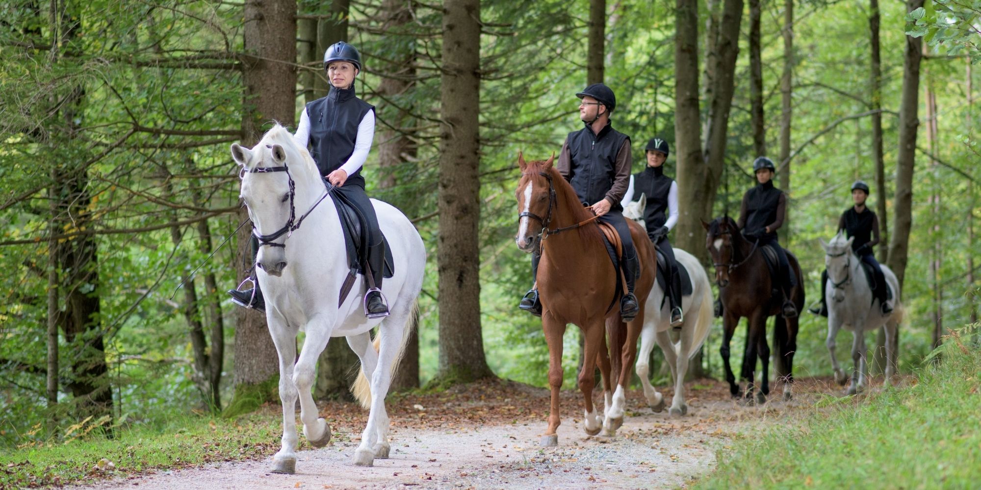 l’équitation Corbières (1)