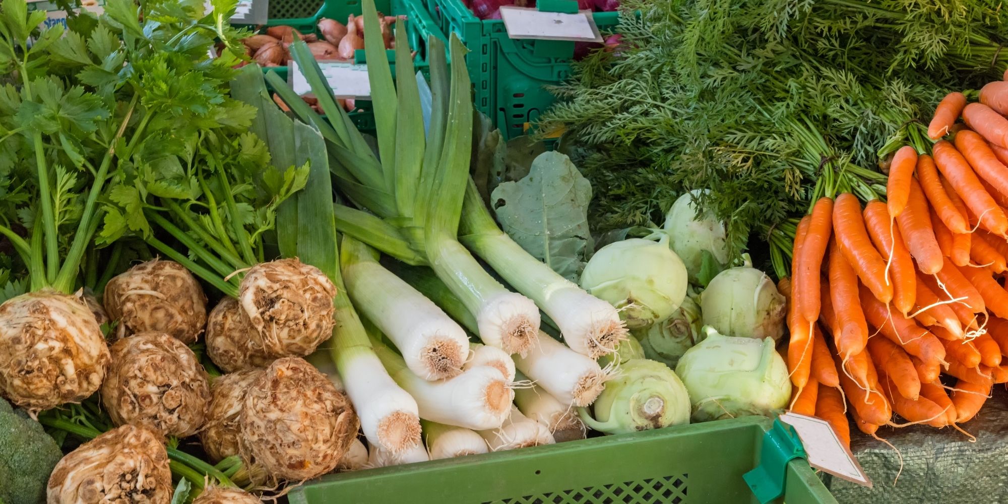 marché toulouse (15)