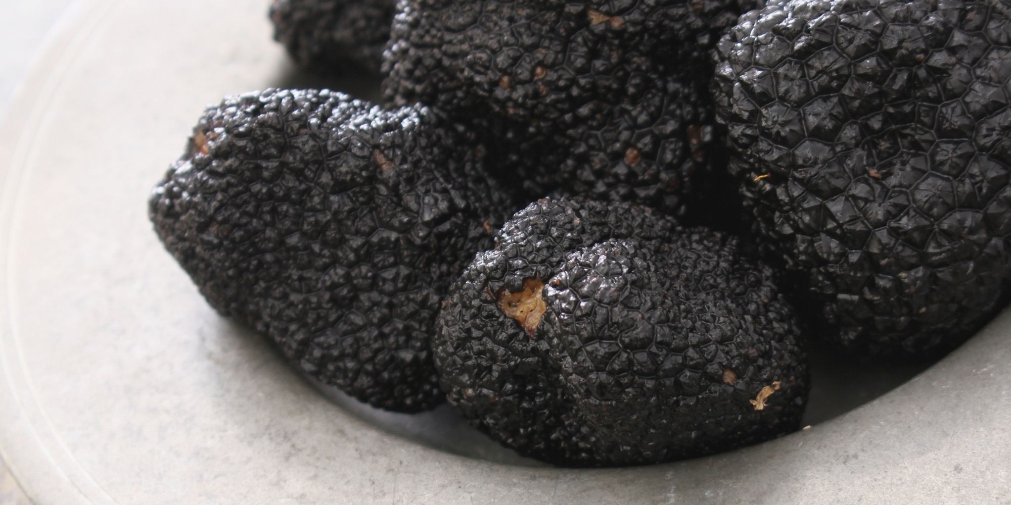 _truffe noire de Carcassonne